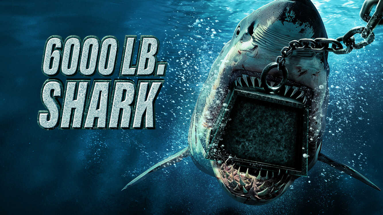 6000 LB Shark