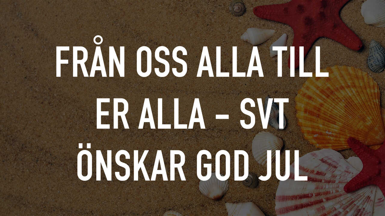salesman Or later Bermad Från oss alla till er alla - SVT önskar God Jul | TV.nu