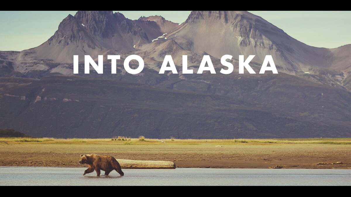 Into Alaska 