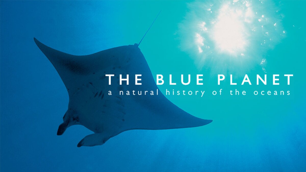 The Blue Planet Постер. Bbc Blue Planet. The Blue Planet побережье.