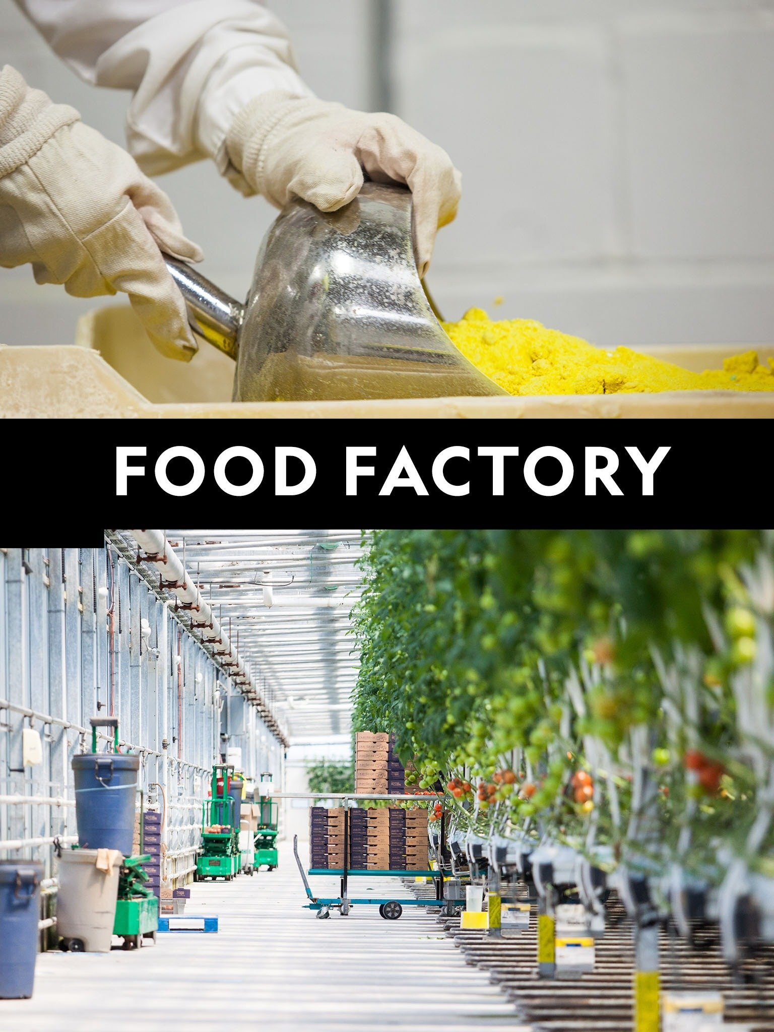 Food factory. Фабрика еды National Geographic. 1 Food Factory.